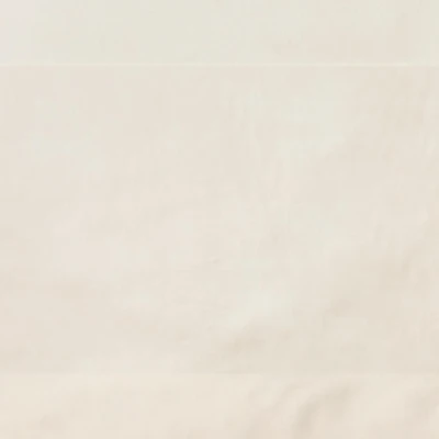 BIZON 2112 R-Photoroom.jpg