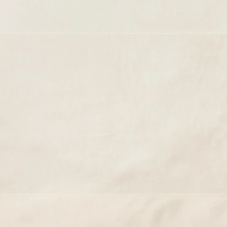 BIZON 2112 R-Photoroom.jpg