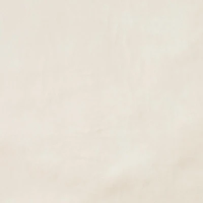 BIZON 2112 R-Photoroom.jpg