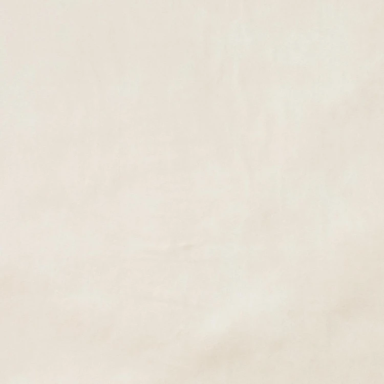 BIZON 2112 R-Photoroom.jpg