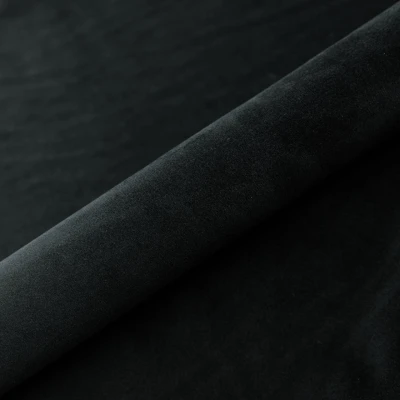 MAGIC VELVET 2219.jpg